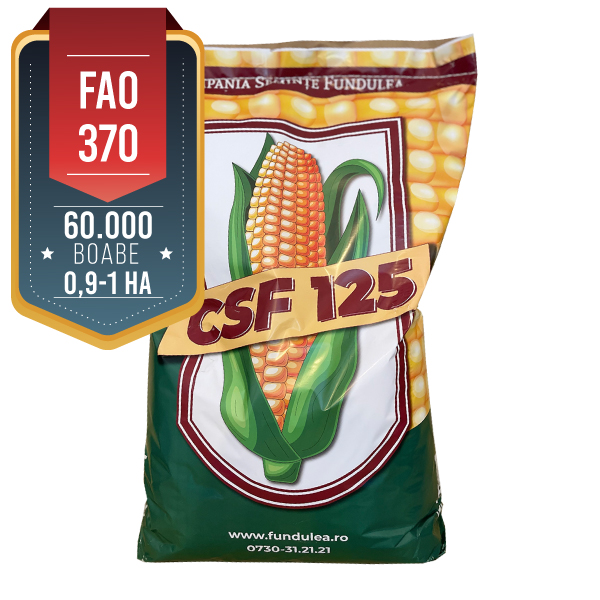 samanta porumb premium CSF 125, FAO 370, 120-130 zile, Compania Seminte Fundulea